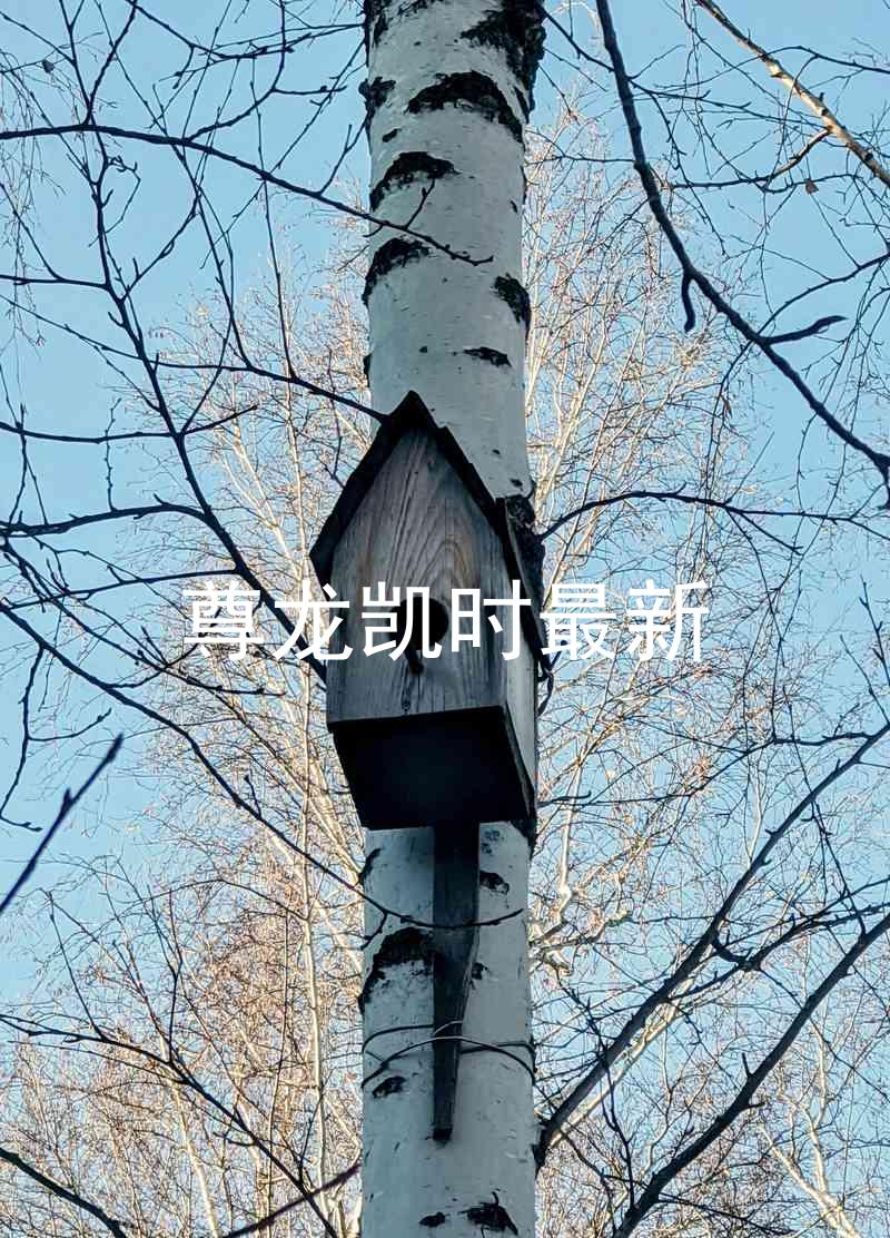 尊龙凯时最新