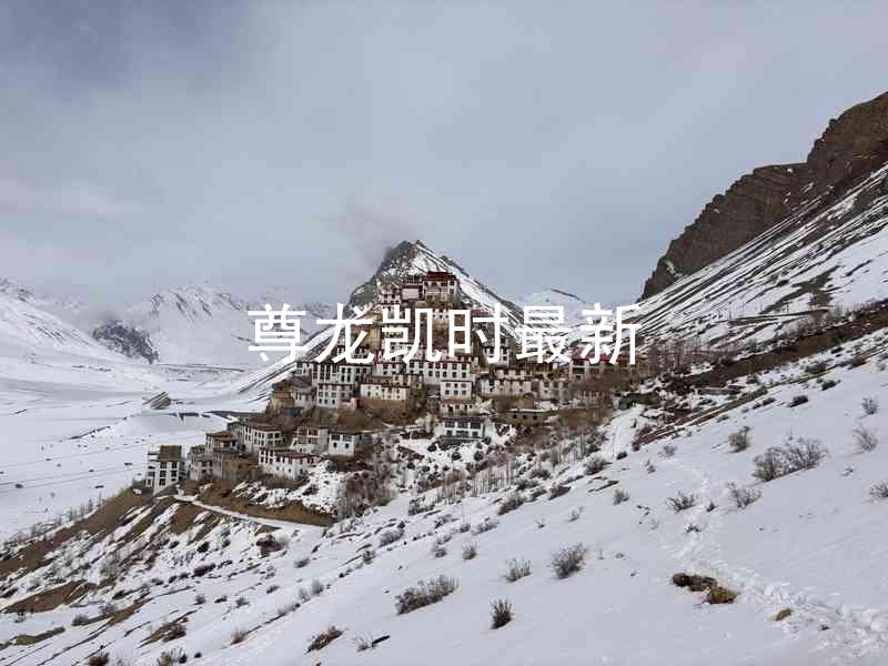 尊龙凯时最新