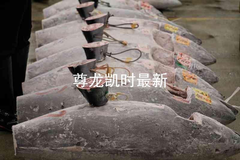 尊龙凯时最新